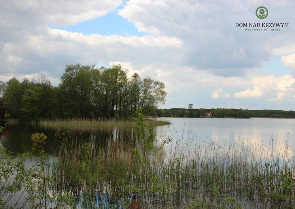 Dom Nad Krzywym - Prywatna Plaza, 2 Boiska, Sauna, Plac Zabaw Krzywe  Eksteriør bilde